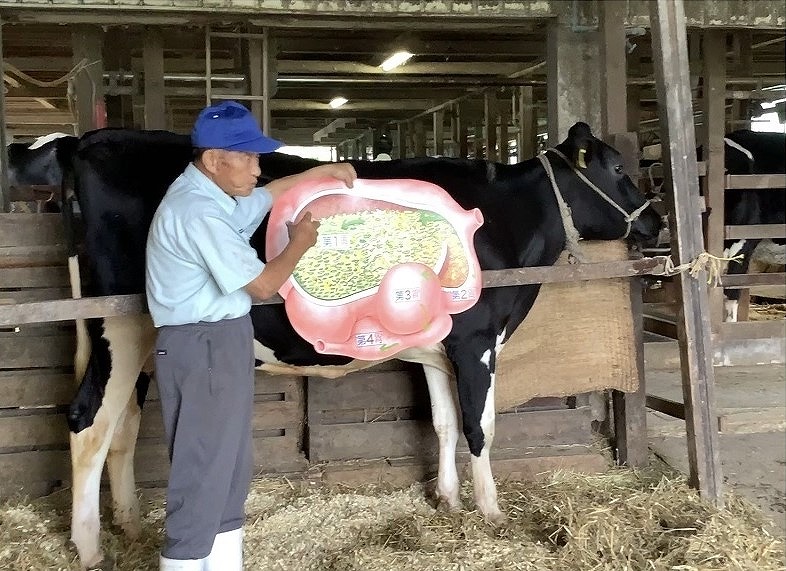 牧場の方から牛さんが餌を食べた後の胃の中の説明をして頂きました。牛さんって沢山の餌を食べるんだね
