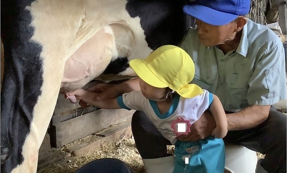 2歳児さんにとっては初めての牛見学でした。大きな牛さんに驚いていましたが、色々な体験が出来て良かったね